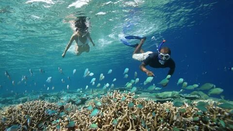 Snorkeling in Maldives Corals